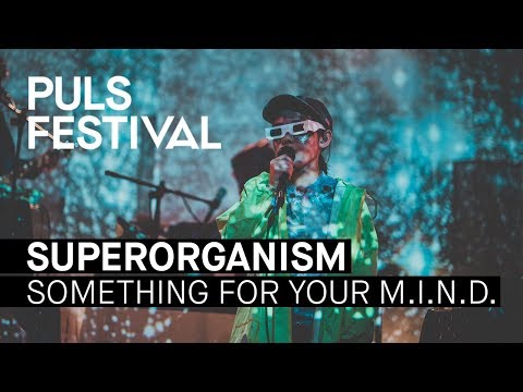 Superorganism - Something For Your M.I.N.D. (live beim PULS Festival 2017)