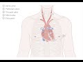 Cardiovascular Examination - Clinical Examination of the Heart