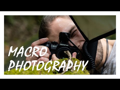 OM-D E-M1 Mark III | Macro Photography with Geraint Radford