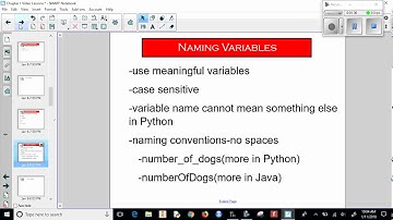 Ch 1 Video 8 Storing Variables