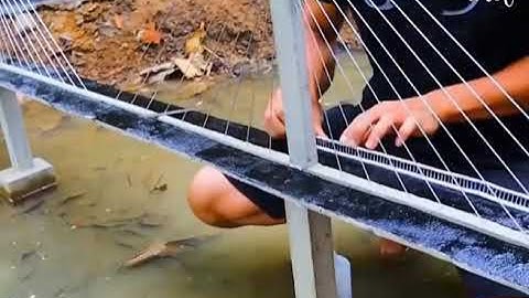 Building a mini cable - stayed 🌉✨