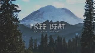 [FREE BEAT] Reggaeton || Prod. Briansal Sangma