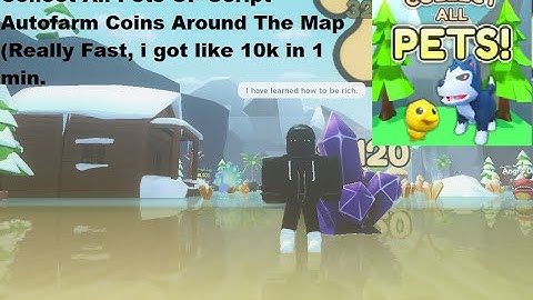 Collect All Pets OP Script | Collect All Coins Around The Map[LuaXe]