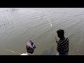 Unbelievable Tilapia Fish catching Back to Back