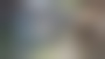 Killing Iceblock Mei