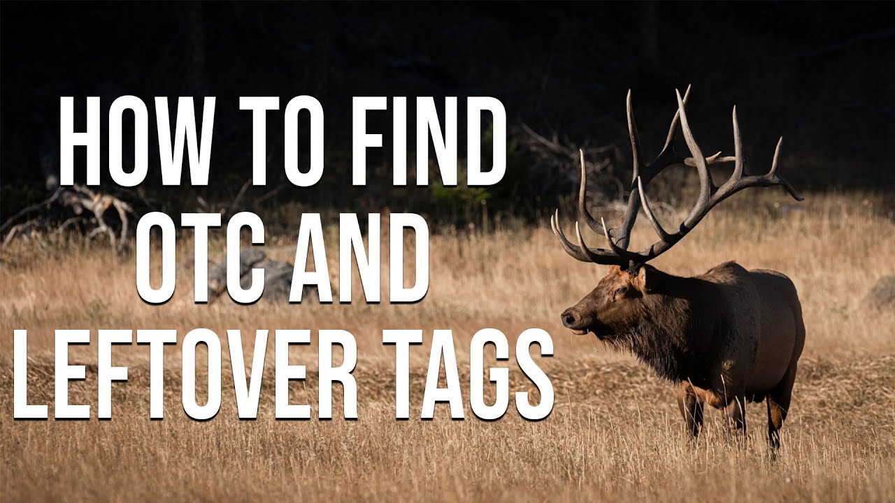 How to exchange an elk tag online