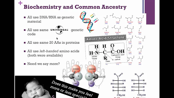 Cladistics (IB Biology)