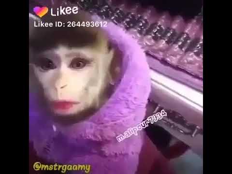 همزين انتي مو حلوه