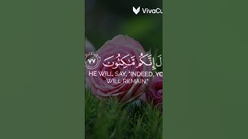قرآن كريم 🌿تلاوة من سورة الزخرف  🌿🌿القارئ سعد أزويت 🌿