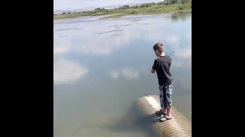 Boy catches fish in record time with grasshopper