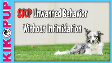 STOP unwanted behavior without INTIMIDATION