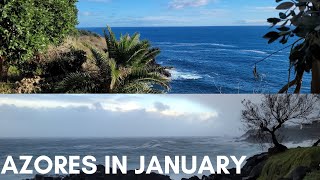 WHAT IS AZORES LIKE IN JANUARY -SUB-TROPICAL Portuguese islands-worth visiting in the winter -Ep 180