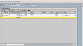 SAP Automatic Payment Run   Execution Part 2