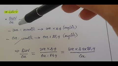 Thận | Tổn thương thận cấp | Acute Kidney Disease (AKI)