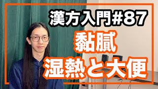 東洋医学　湿の黏膩と大便、便秘、湿熱との関係性とは【漢方入門 -87】