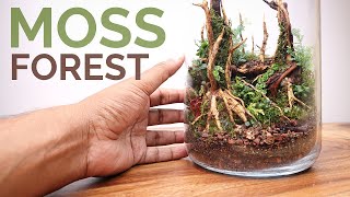 Moss Forest in a Jar (Moss Terrarium build)