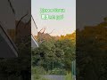 Дом в Сочи с видом на море. 113 м2. #купитьдом #инвестиции