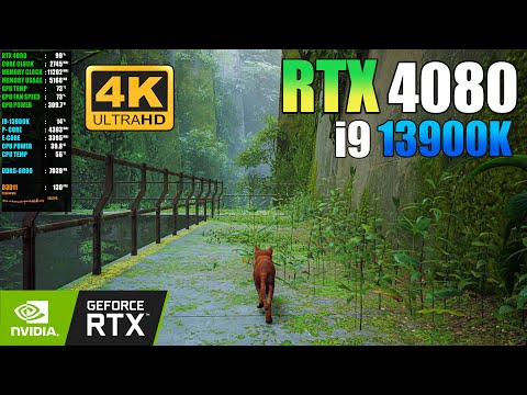 STRAY : RTX 4080 + i9 13900K ( 4K Maximum Settings )