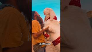 Coming Soon Bakra Eid 🤲🥰✨ #shorts #ytshorts #shortsvideo #shortsfeed #eid #bakraeid #islam #shorts