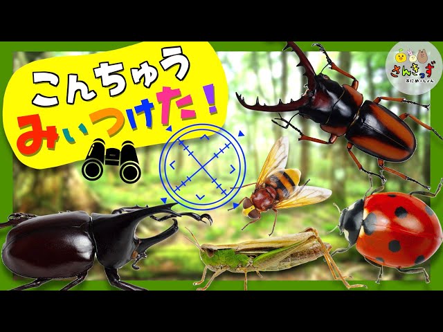 昆虫相手にマジ喧嘩様リクエスト リクエスト「つよさ300のムシを育てられるまで帰れません」に