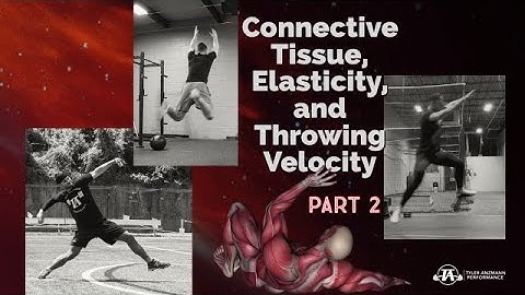 Connective Tissue, Elasticity, and Throwing Velocity: Part 2