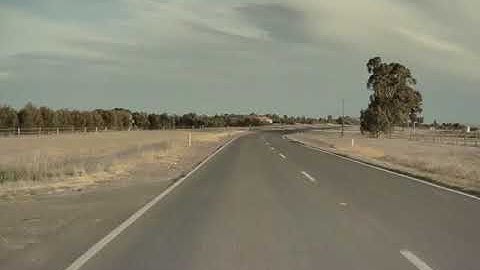 Near Miss - Tesla Model 3 Autopilot detects ducks crossing the highway