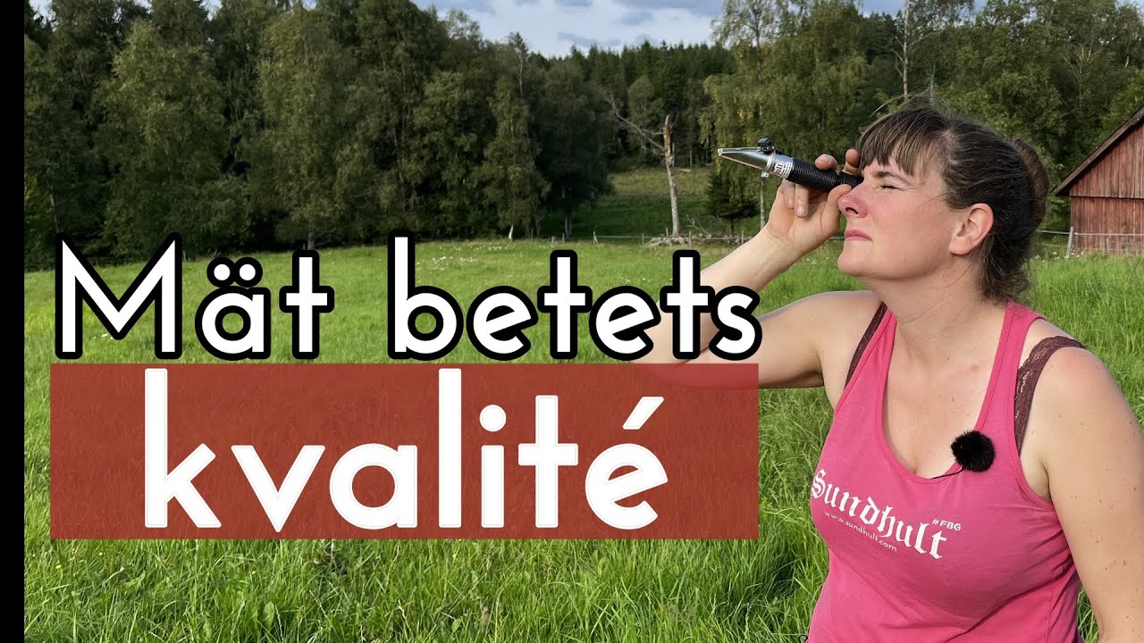 Refraktometer mäter brix för att bestämma beteskvalité