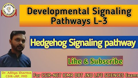 Developmental Signaling Pathways L-3#Hedgehog Signaling by Dr. Aditya Sharma CSIR-JRF PHD For
