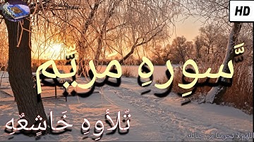 من اجمل التلاوات واعذبها حقأ لا توصف❤