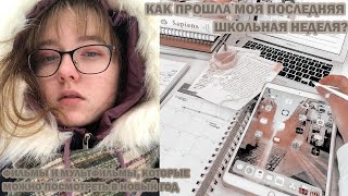 НЕstudy vlog// совсем немного об учёбе/ что можно посмотреть на Новый Год?