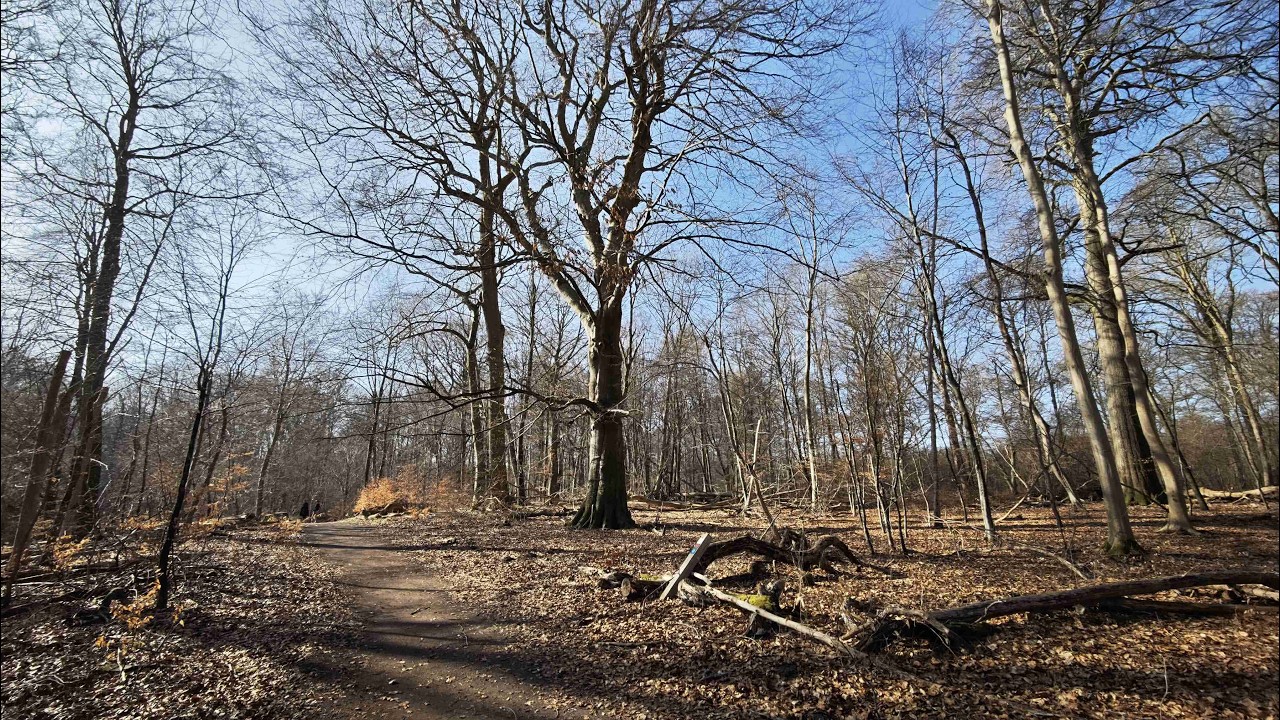 6. marts 2026 Næstved – Herlufsholmskoven