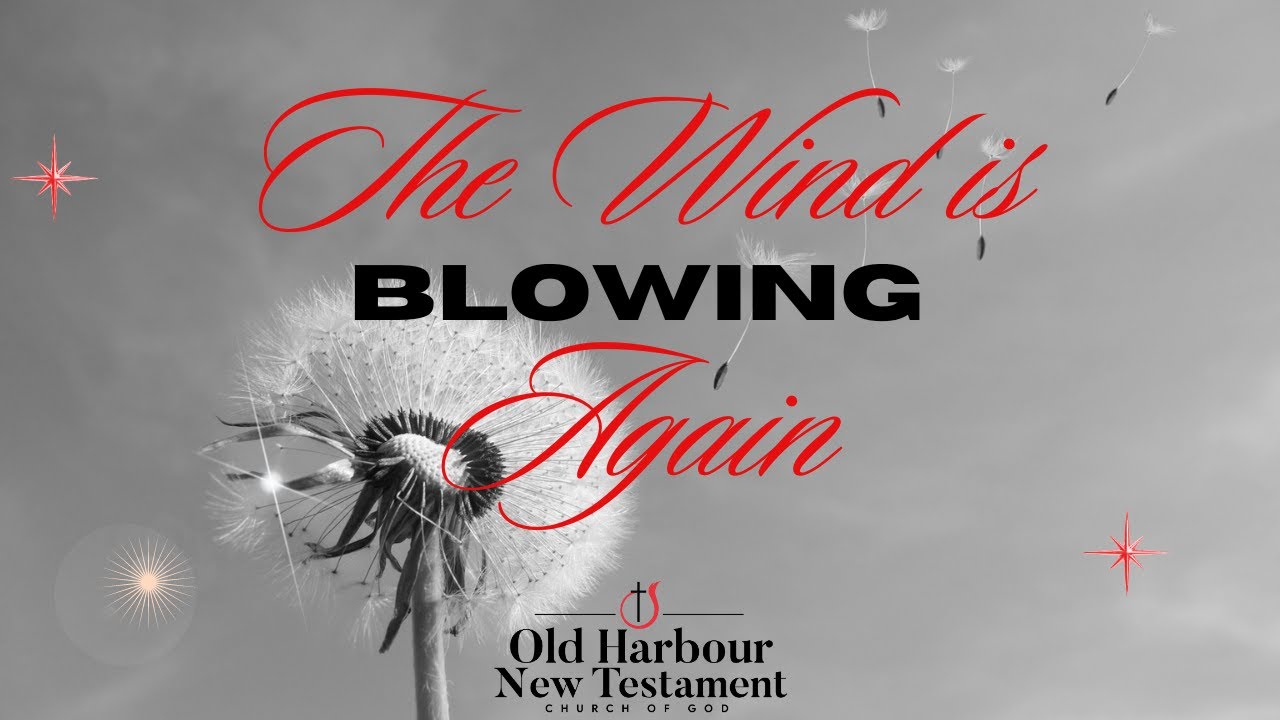 The Wind is Blowing Again // Pastor Rosalina Matos