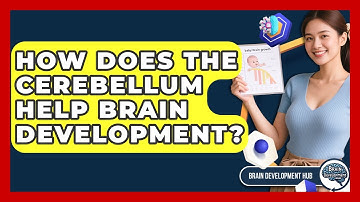 How Does The Cerebellum Help Brain Development? - Brain Development Hub