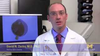 How is a detached retina treated?