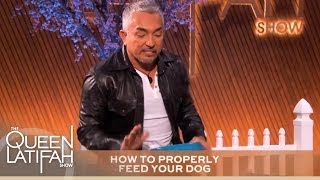 Cesar Millan's Tips Every Dog Owner Should Know