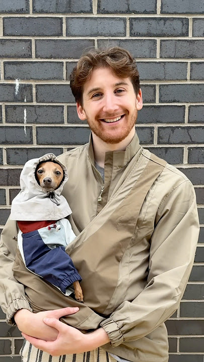 Shop at riikyu for a kangaroo pouch. Use TREVOR10 for a discount 🔥 #dog #cute #shorts