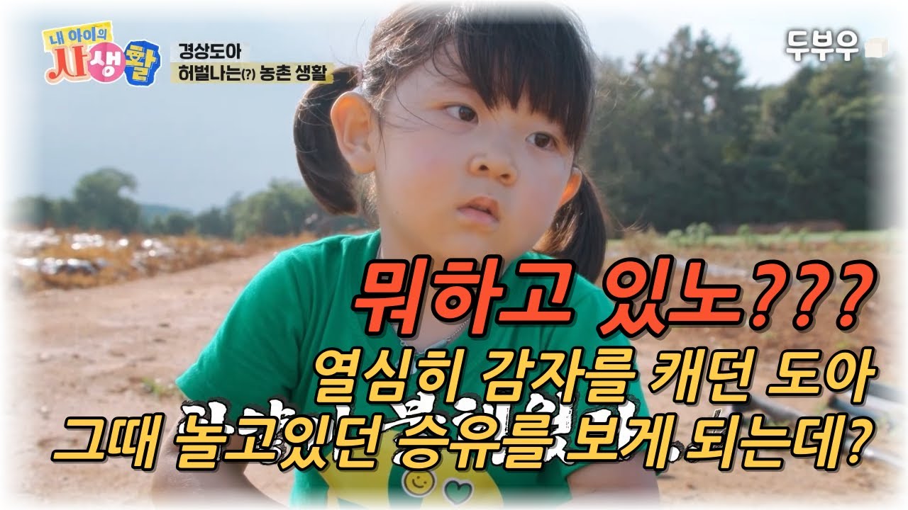 내 아이의 사생활 제 33화 (3편) : 니 뭐하고 있노?? 혼자 열심히 감자를 캐던 도아, 놀고있던 승유를 보게 되는데? #내아이의사생활 #02hby