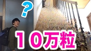 帰宅した瞬間１０万粒のぷよぷよボール風呂を落としてみた【ドッキリ】