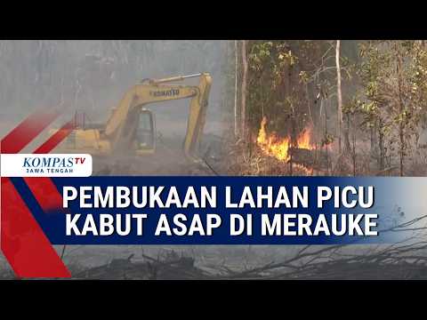 Land Clearing Triggers Smog in Merauke