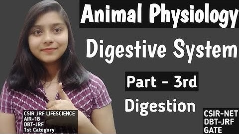 Digestive System - ANIMAL PHYSIOLOGY CSIR-NET JRF LIFESCIENCE