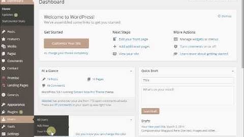 Change the color scheme in your WordPress dashboard