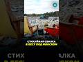 Стихийная свалка в лесу под Минском / Новости #свалка #помойка #минск #мусор #мусорка #экология