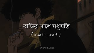 Barir Pase Modhumoti | বাড়ির পাশে মধুমতি | Slowed+Lofi | Jisan Khan Shuvo