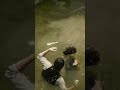 X29 Simulate stunning survival skills #shorts