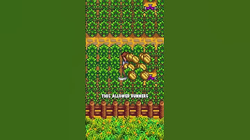 The 1.6 Update DESTROYED Stardew Valley Min-Max Runs