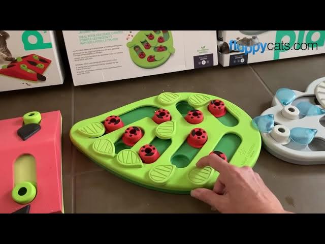 Melon Madness Puzzle & Play Cat Toy – Fun Time Dog Shop