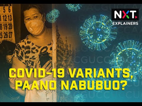Video: Paano Natagpuan Ang Bagong Virus