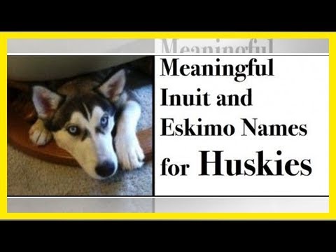 Video: Eskimo und Inuit Namen für Huskies und andere Hunderassen