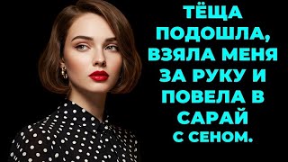 картинка: «Сеновал хранит тайну… И вот что произошло там на самом деле!»