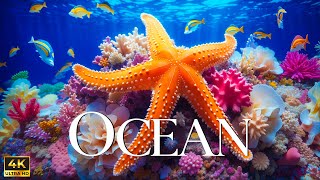 The Ocean Film 4K - Deep Relaxation and Nature Underwater - Video Ultra HD